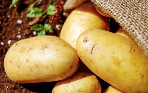 Why I changed my mind about potatoes