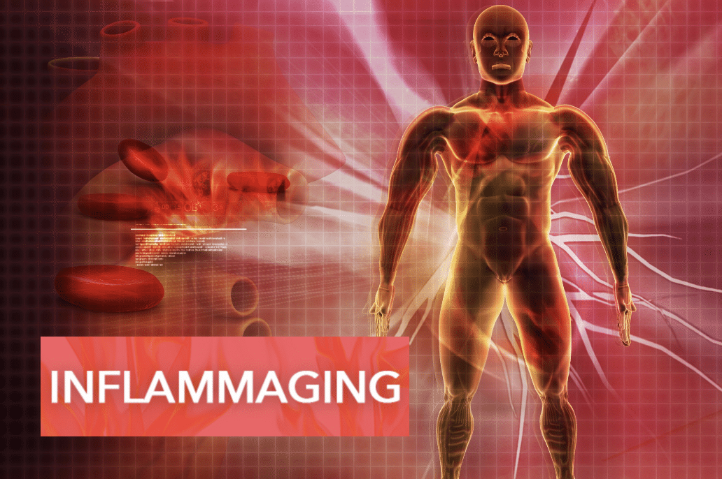 human body with fire raging images, and term Inflammaging